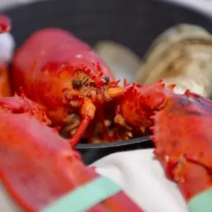 Food Photography of lobster at Boston event